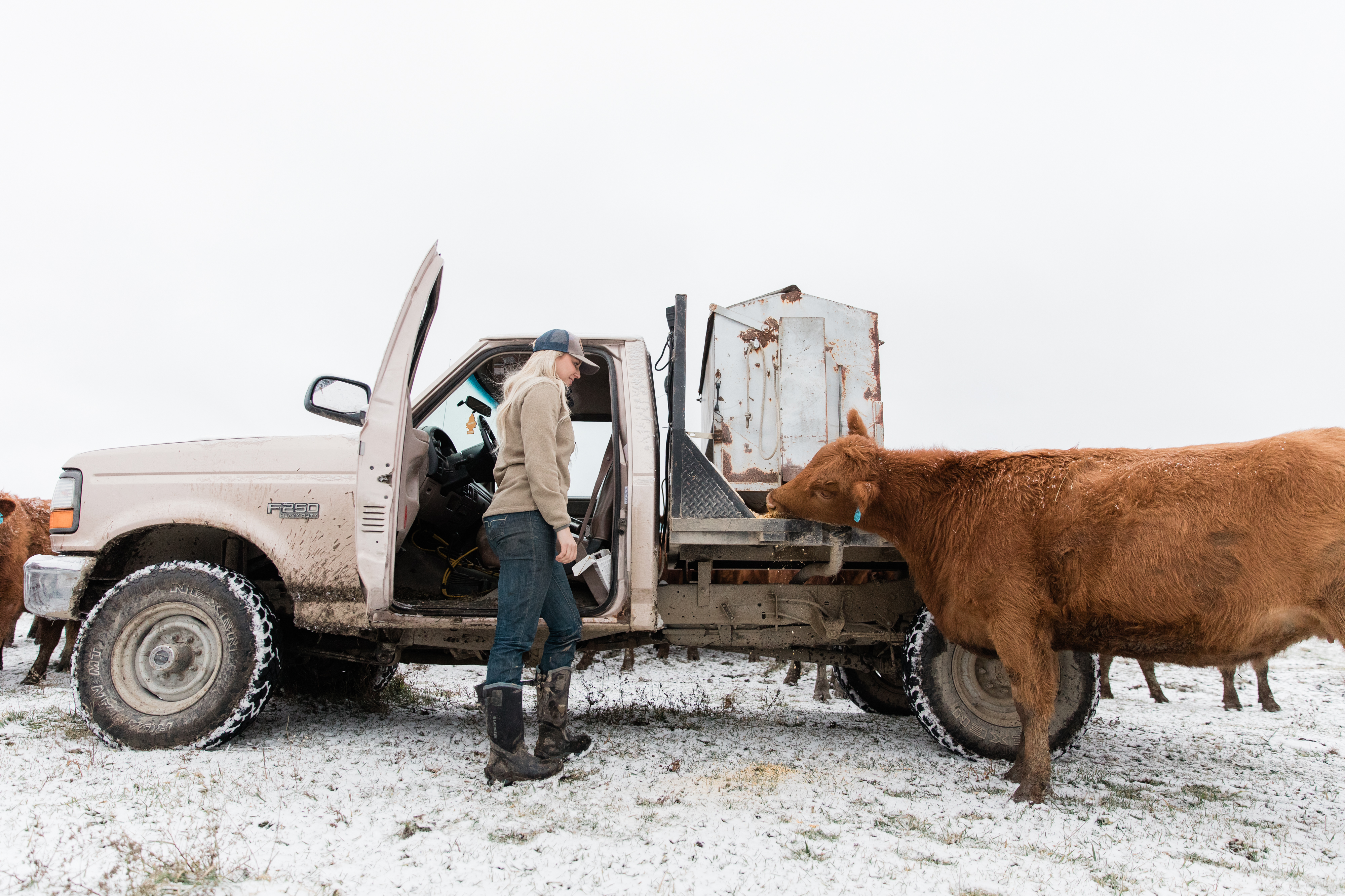 AT-20181203-2594 AT-20181203-2594