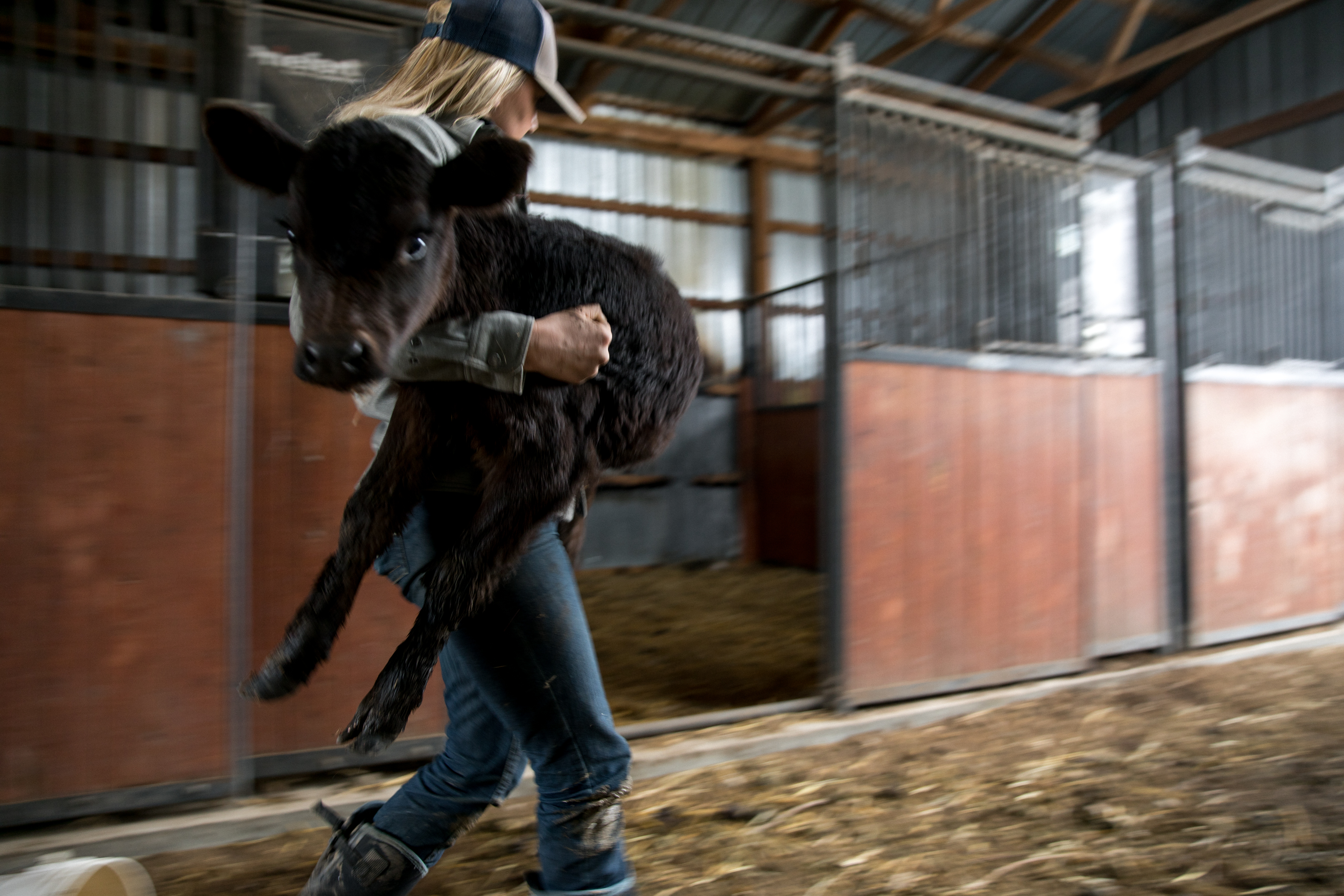 AT-20181203-2846 AT-20181203-2846