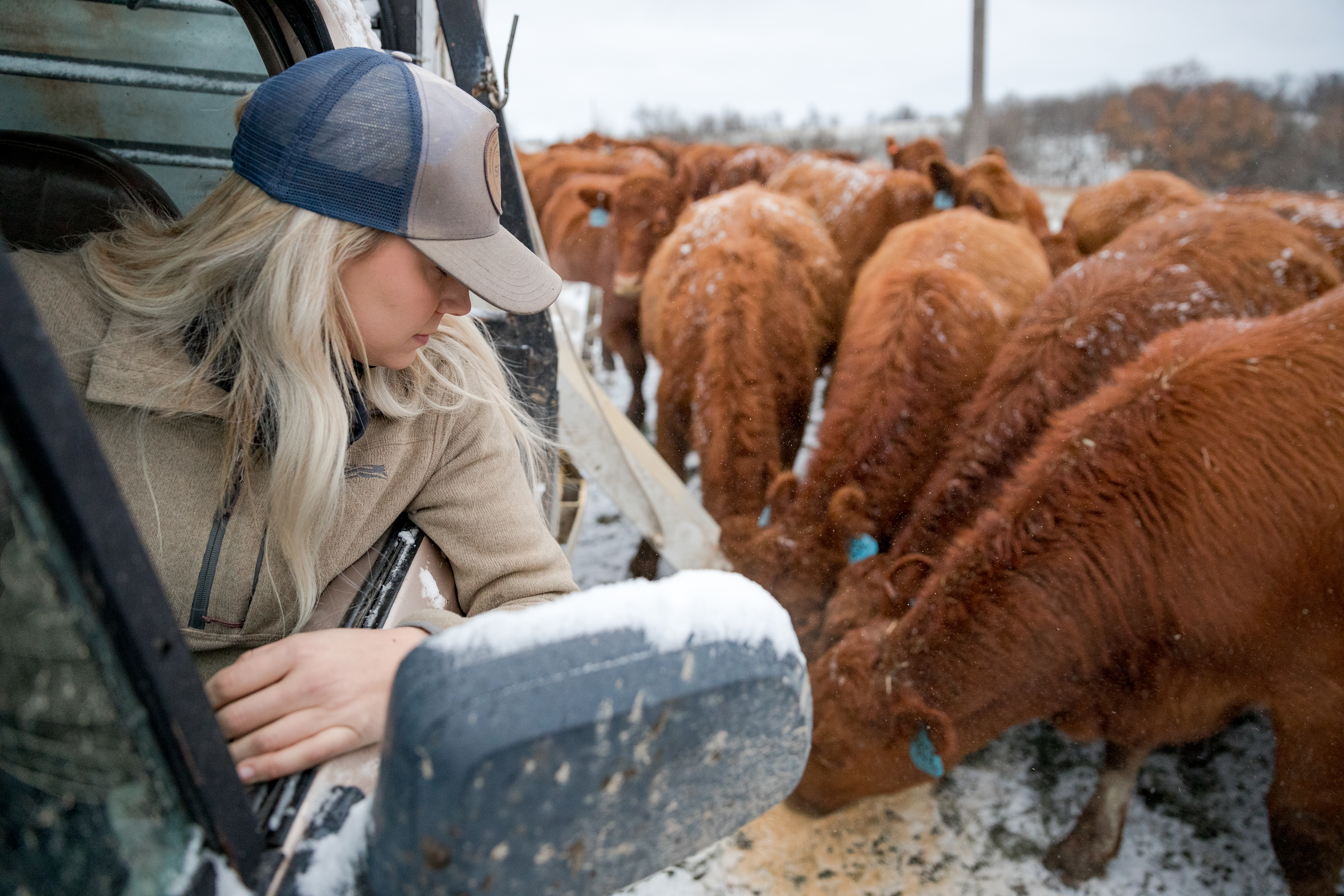 AT-20181203-3842 AT-20181203-3842