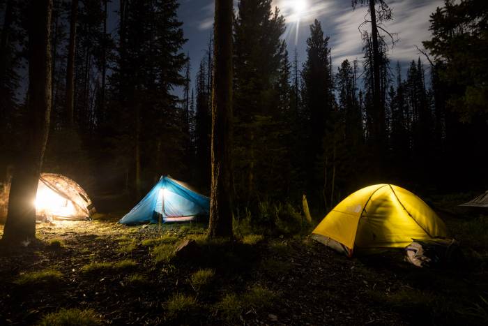 Camping Tent Night Forest Wilderness Backcountry