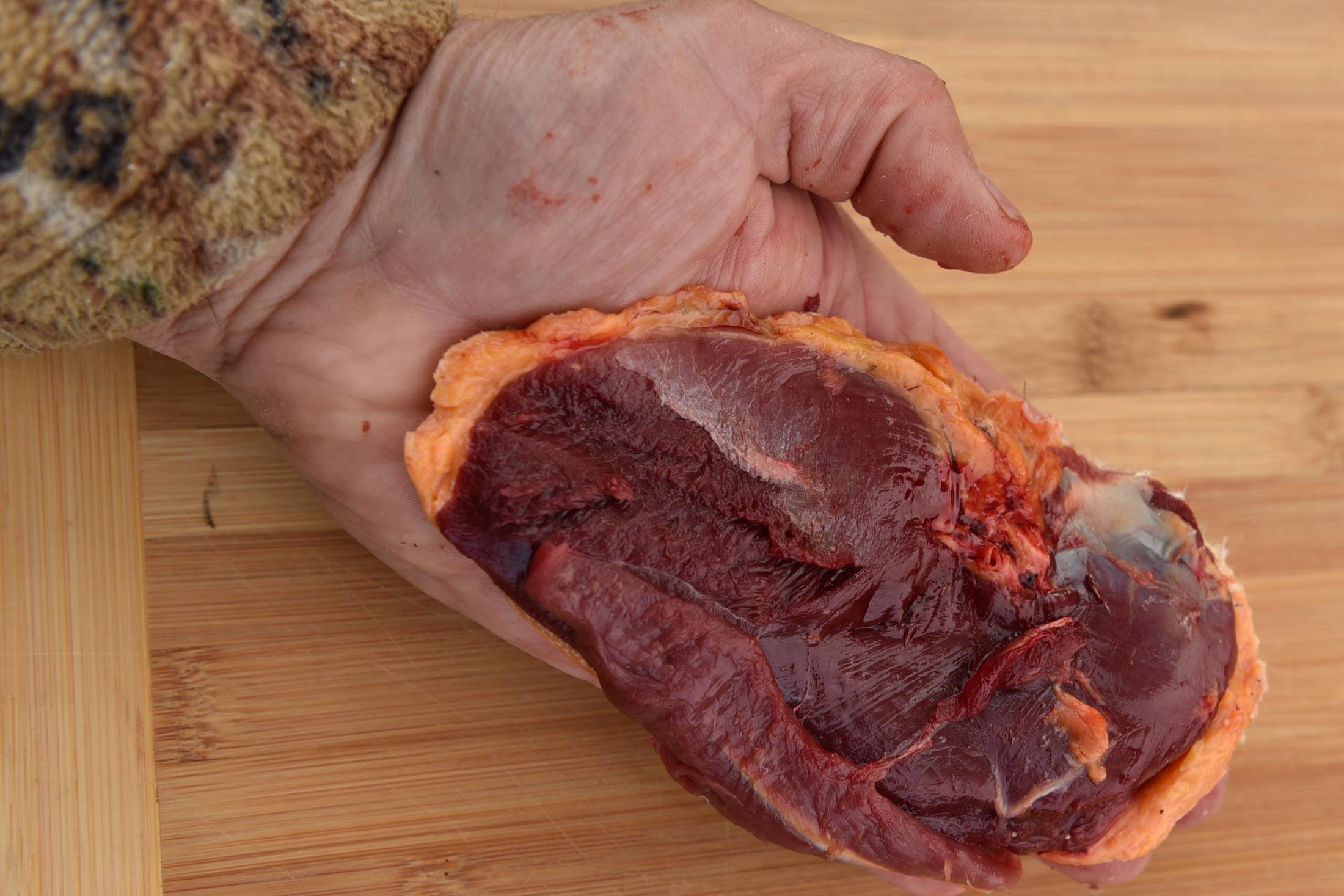 breasting-a-bird-8 breasting-a-bird-8