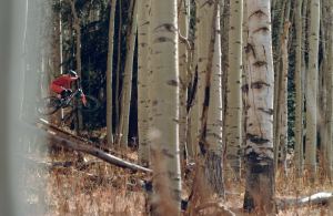 Claire Buchar biking through aspen forest