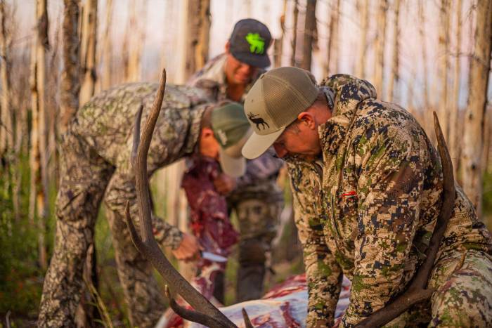 How to Field Dress and Pack Out an Elk