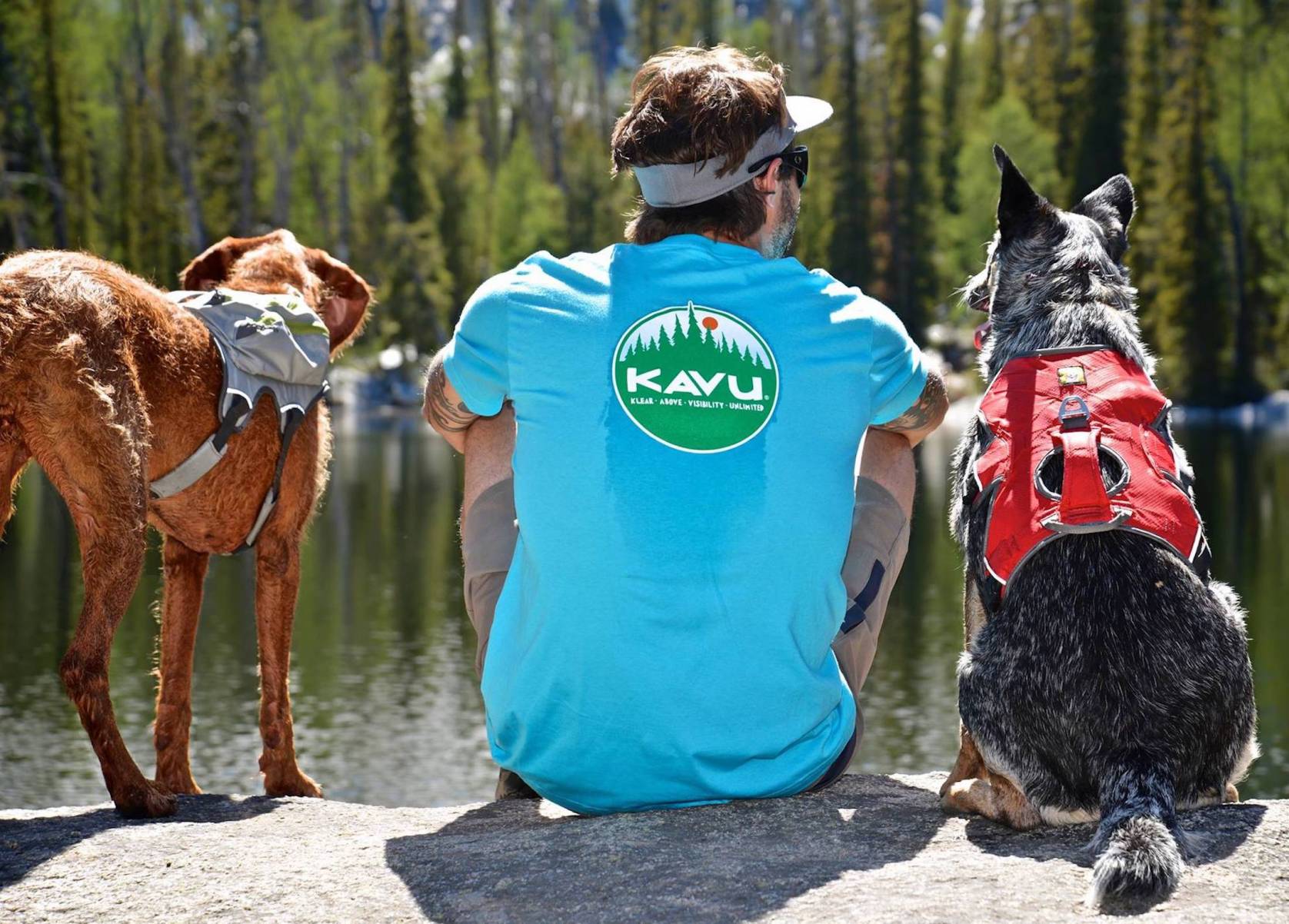 best outdoor dog gear