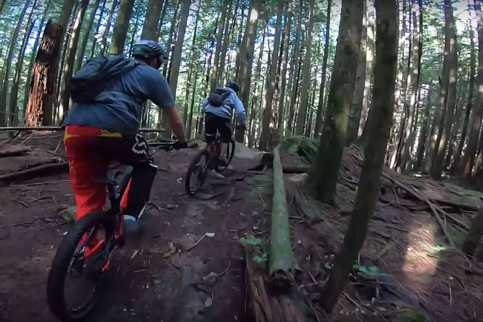 bear mountain bike chase