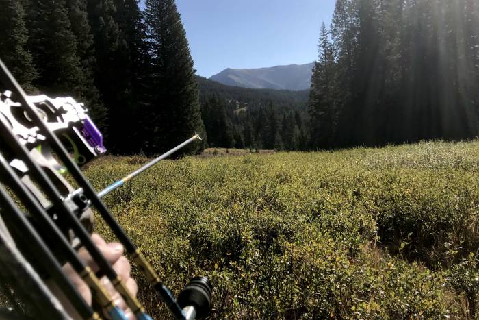 Stories From the Hunt: Living With Time to Kill