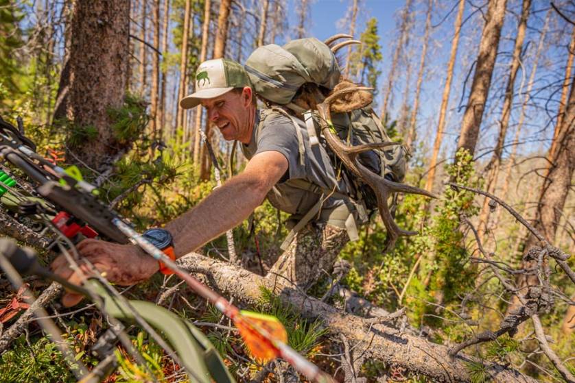 How to Field Dress and Pack Out an Elk GearJunkie