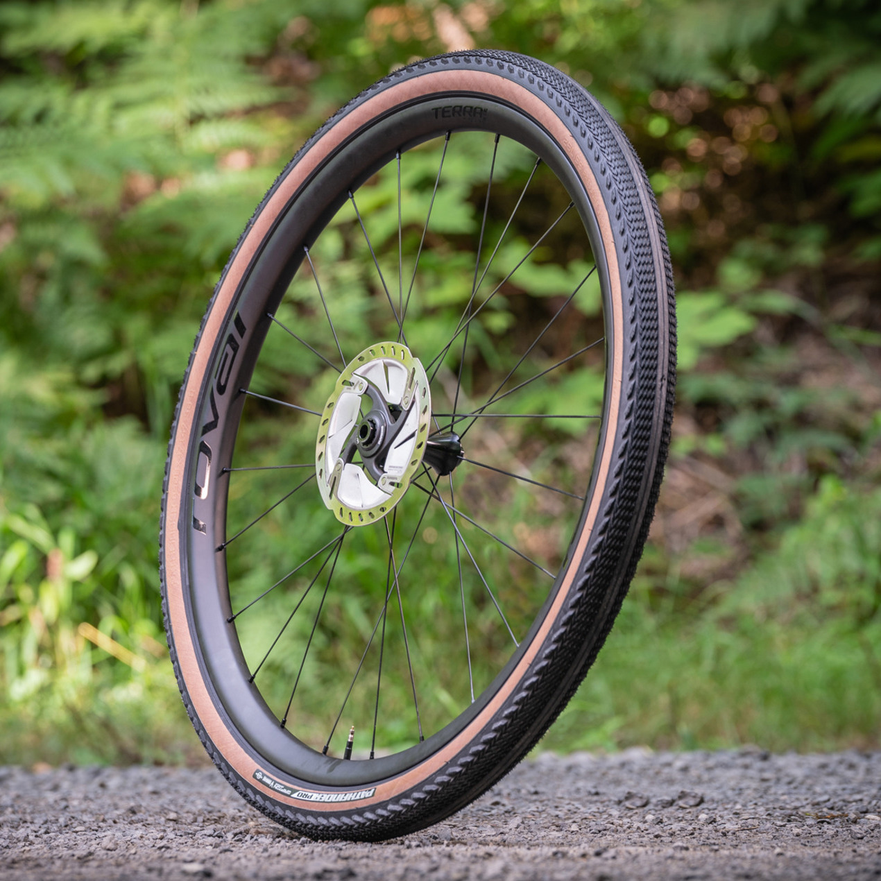 Roval Terra CLX gravel bike wheel against blurred tree background