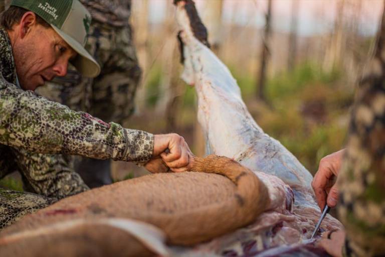 How to Field Dress and Pack Out an Elk GearJunkie