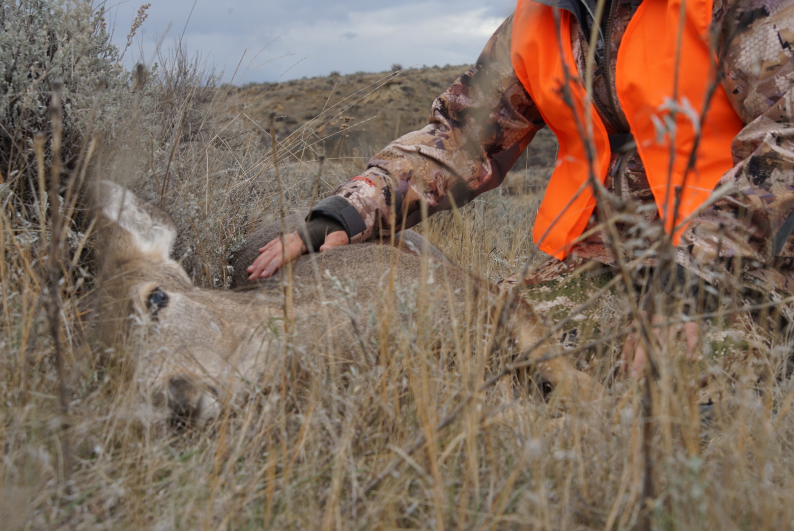 5 Affordable Kitchen Products for Hunters Filling Freezers