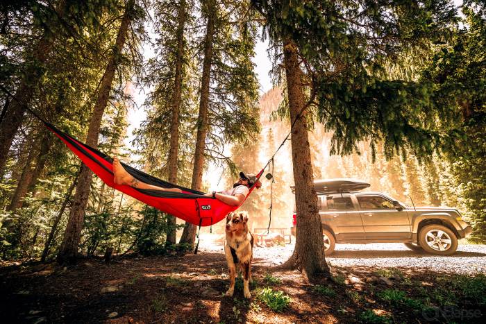 Eno DoubleNest Hammock Car Camping