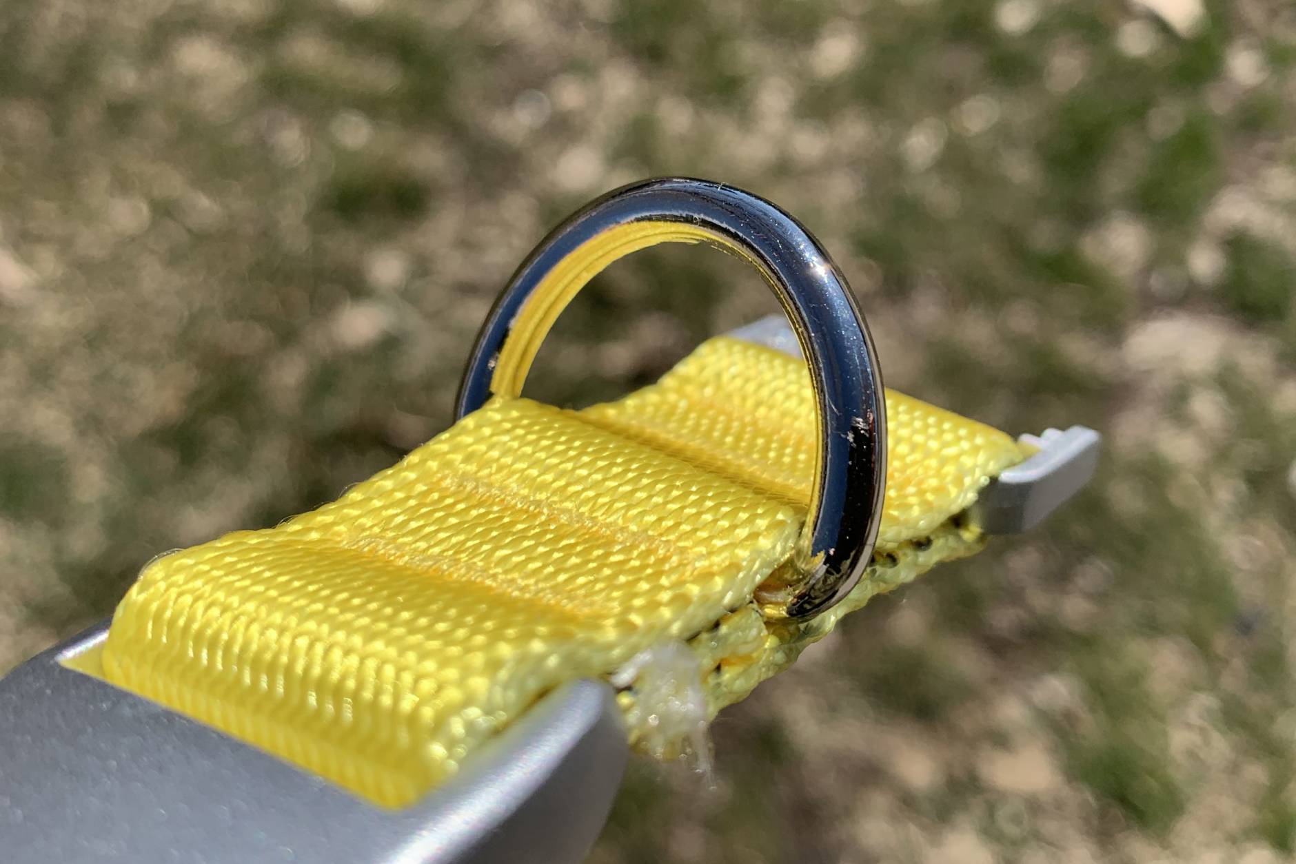 Gear Fail The Fi Collar Broke, My Dog Got Loose GearJunkie