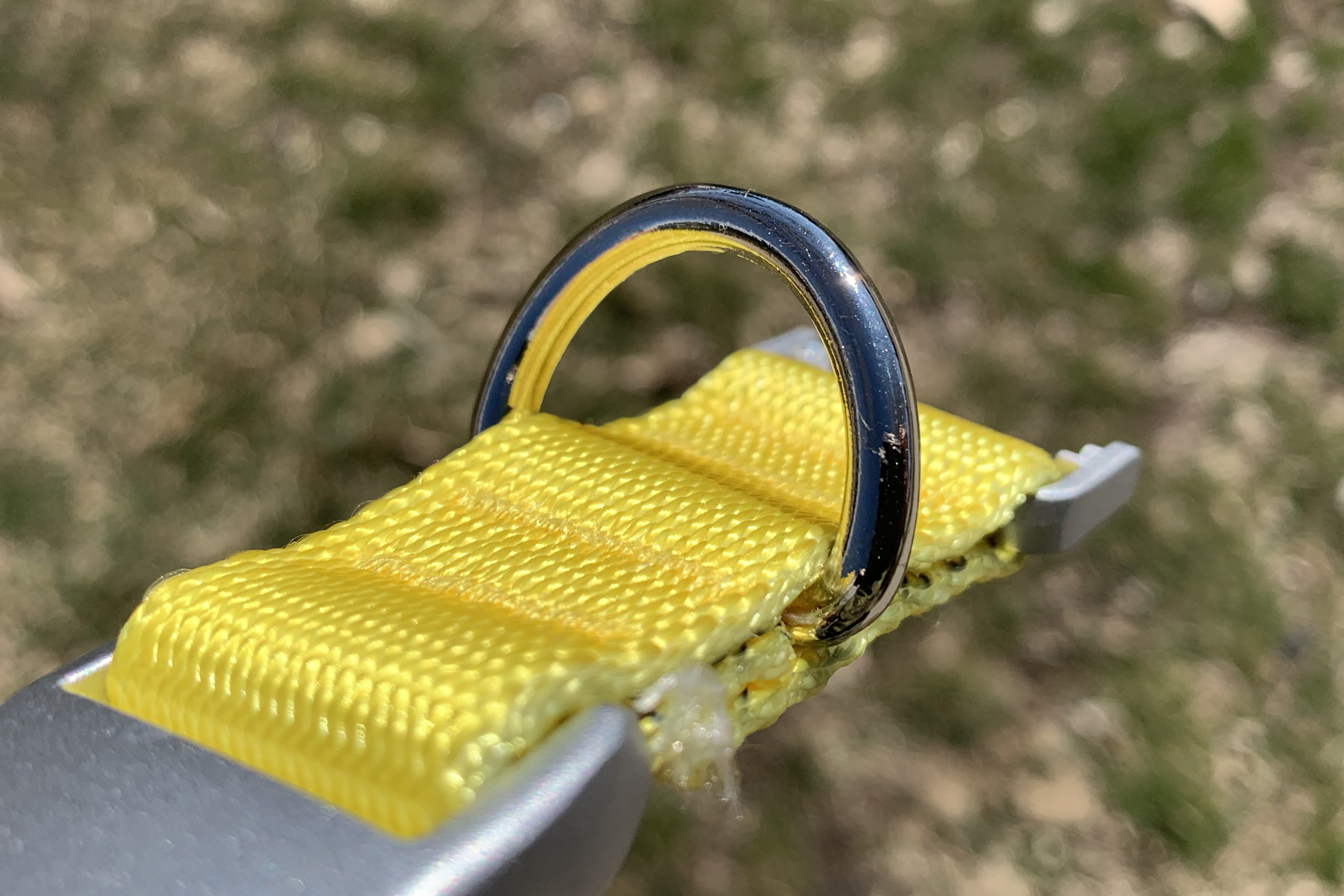 Gear Fail The Fi Collar Broke, My Dog Got Loose GearJunkie