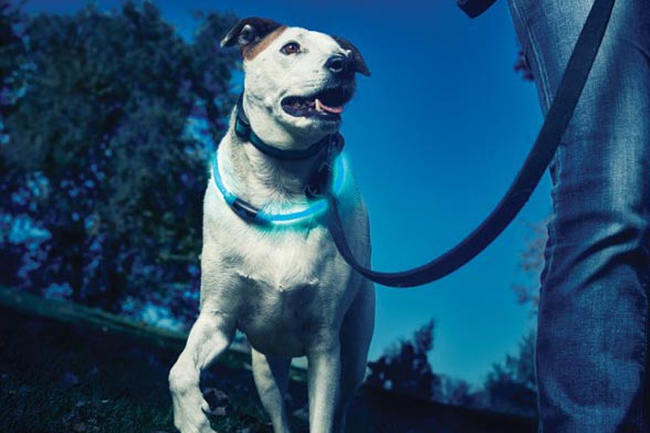 Nite Ize Nitehowl LED Dog Collar
