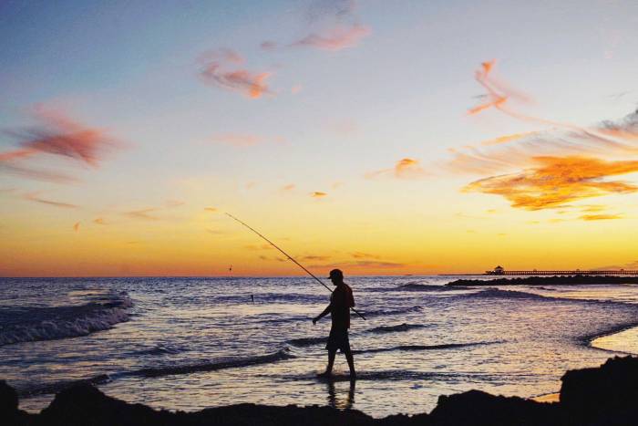 5 Best Fishing Apps for Avid Anglers