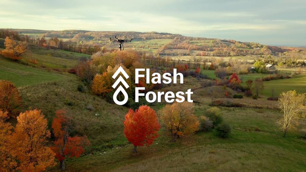 Flash Forest logo, Canada