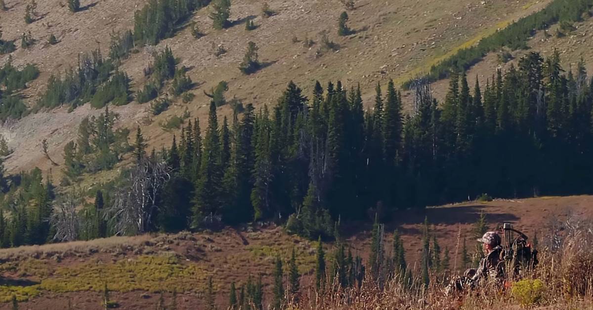 'Yellowstone Country' A Hunting Film for Everyone GearJunkie