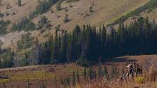 Hunting the Last Wild Places film Greater Yellowstone Ecosystem hunting