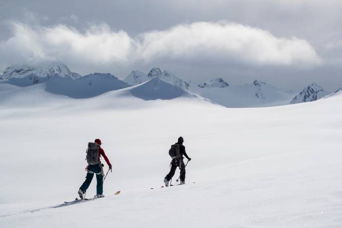 Skiers tour across a winter landscape with backs towards camera