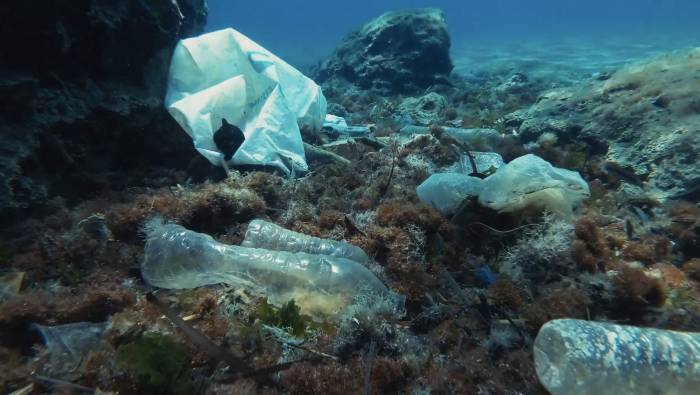 underwater photo of trash in our oceans