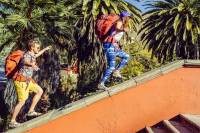 Gregory Travel Packs