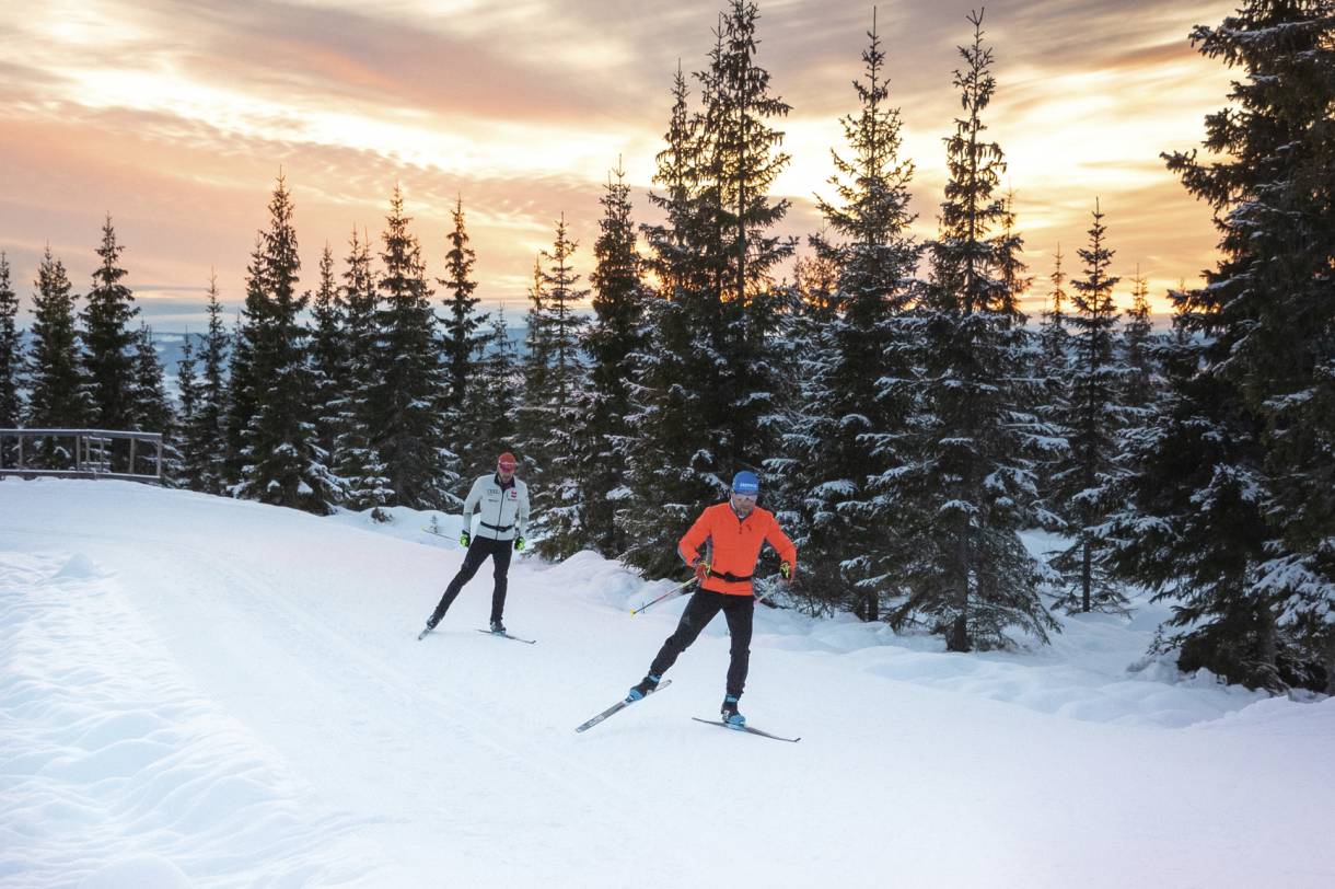 Best CrossCountry Skis and How to Choose Them GearJunkie