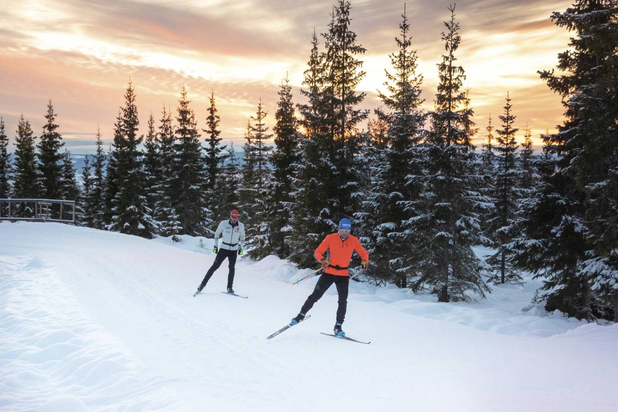 Best CrossCountry Skis and How to Choose Them GearJunkie