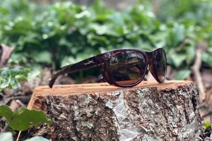 WIley X Captivate Weekender sunglasses