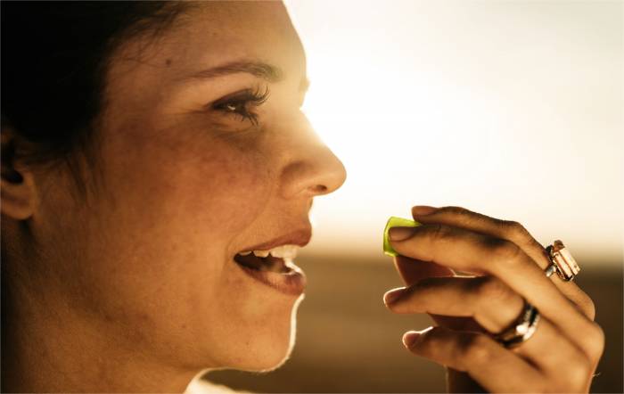 CBD Buyer’s Guide: Charlotte’s Web Recovery Gummies, Capsules, and More