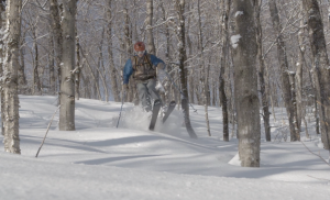Vermont skier skiing through trees