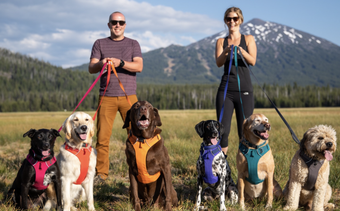 group of dogs wearing the Ruffwear spring collection