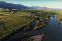 Damned, Then Un-Dammed: The Story of the Free-Flowing Yellowstone River Damned, Then Un-Dammed: The Story of the Free-Flowing Yellowstone River