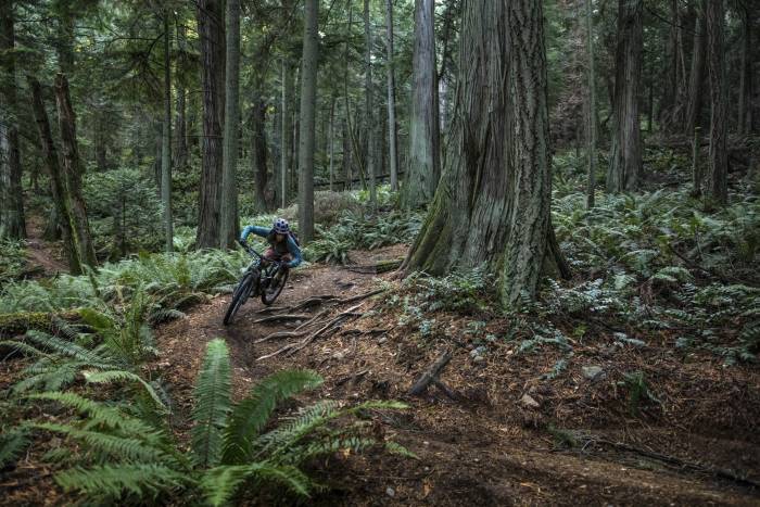 Brooklyn Bell biking through forest