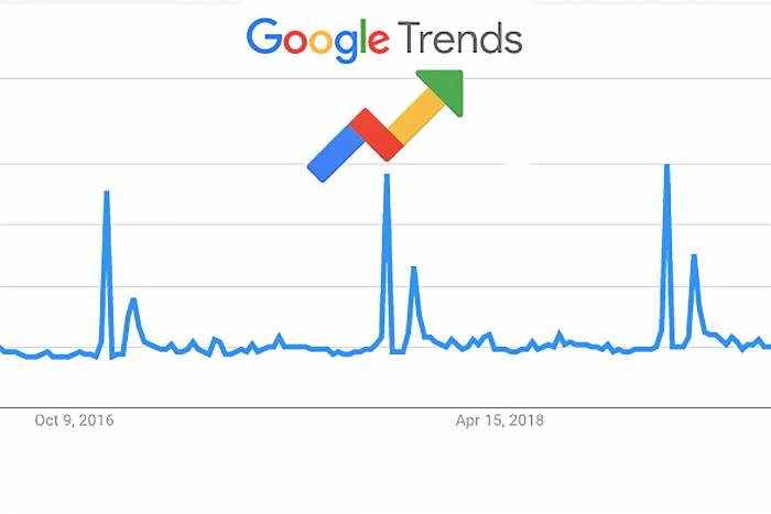 ‘How to Buy a Tiger’: Our Favorite Search Trends During the Pandemic