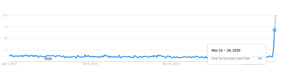 how to cut your own hair google trend how to cut your own hair google trend