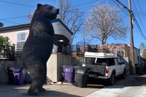 Lions, Tigers, and Bears in Your House! Check Out Google’s Wild Augmented Reality