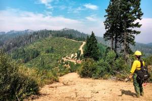 New Generation: Meet the Future of the US Forest Service