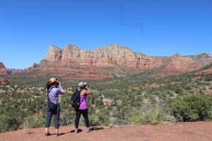 ‘BlackInNature’: Why #BlackBirdersWeek Took Over Twitter