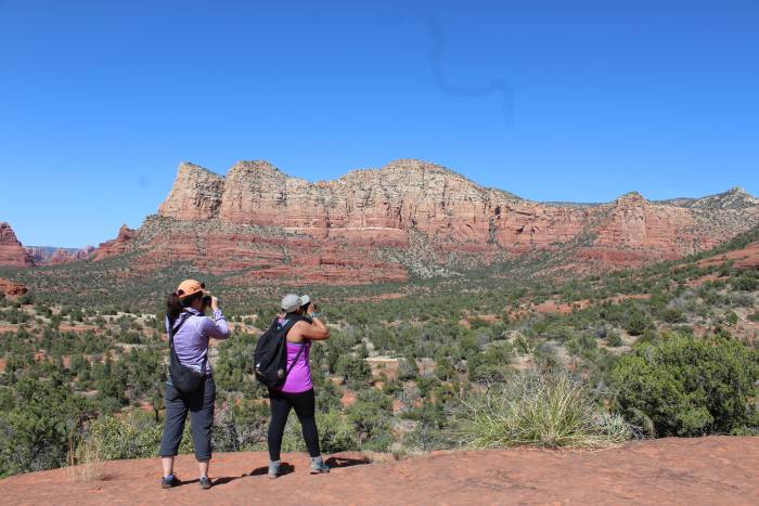 ‘BlackInNature’: Why #BlackBirdersWeek Took Over Twitter