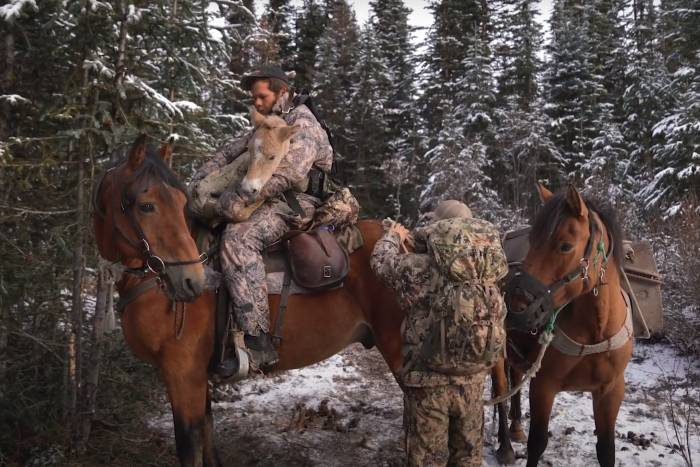 A Backcountry Moose Hunt Gains an Unexpected Addition