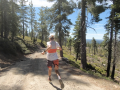 'Almost Perfect' Western States: Watch Courtney Dauwalter Attempt Course Record courtney dauwalter