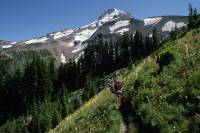 The 7 Best Hikes Near Portland The 7 Best Hikes Near Portland