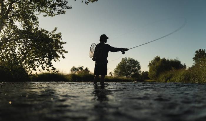 Learn How to Fish: 5 Books for Beginning Anglers