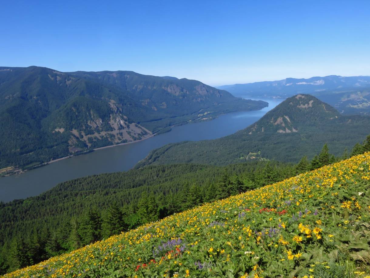 Explore 7 of the Best Hikes Near Portland GearJunkie