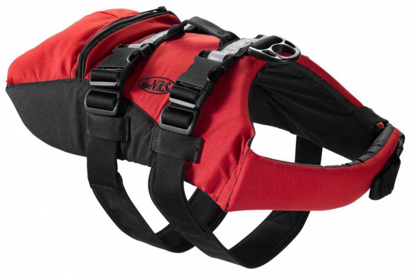 The Best Dog Life Jackets for Your Pup GearJunkie