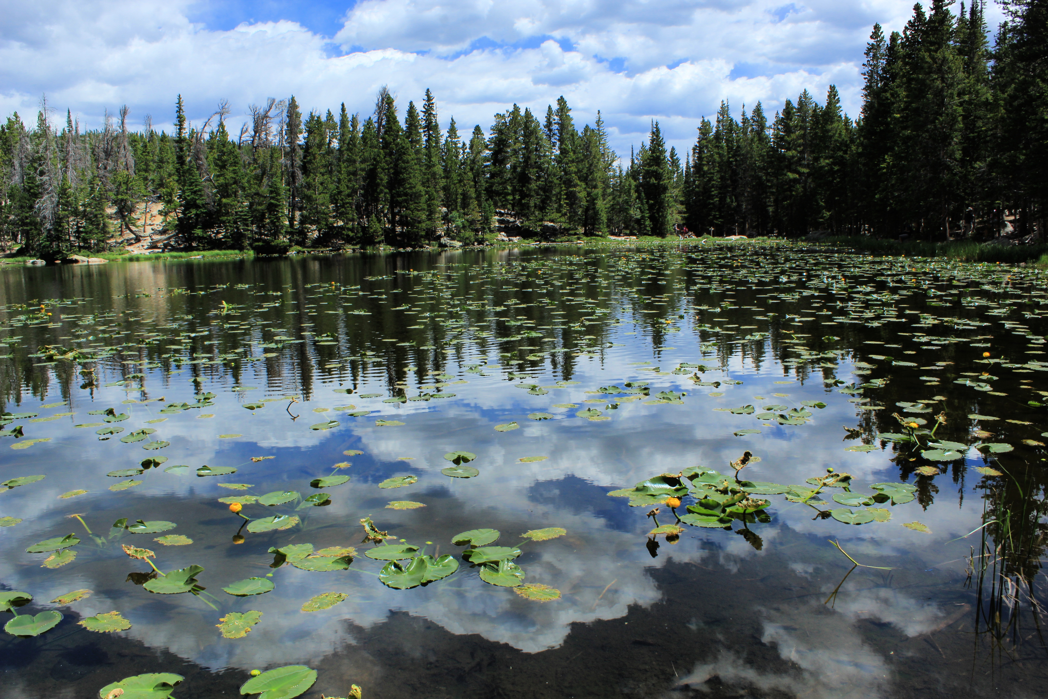 best hiking near denver