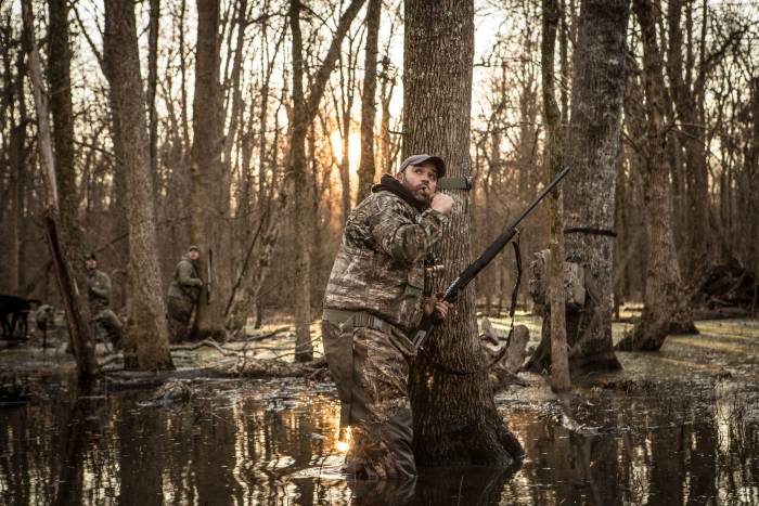 Duck hunting in a flooded forest