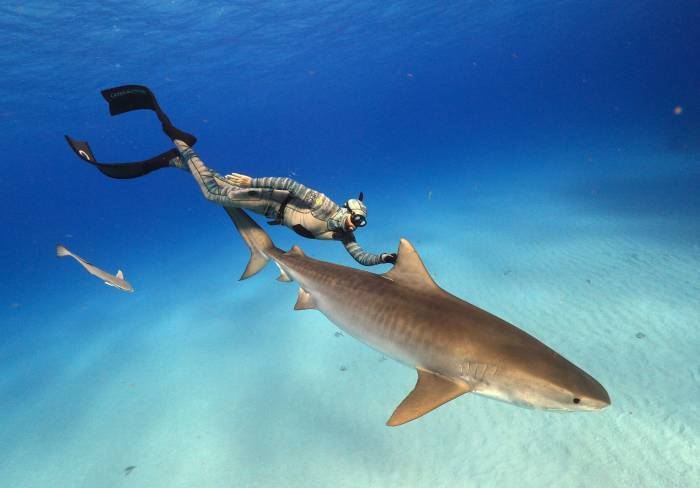 The Unexpected Gear of Animal Planet’s Forrest Galante