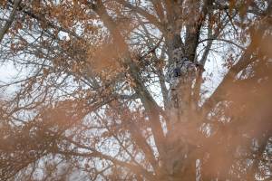 Stay Warm, Pee Free: Sitka Fanatic Base Layers for Women