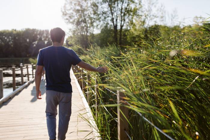 #OnlyinMN Hiking: 10 Must-See Hikes Through the Land of 10,000 Lakes